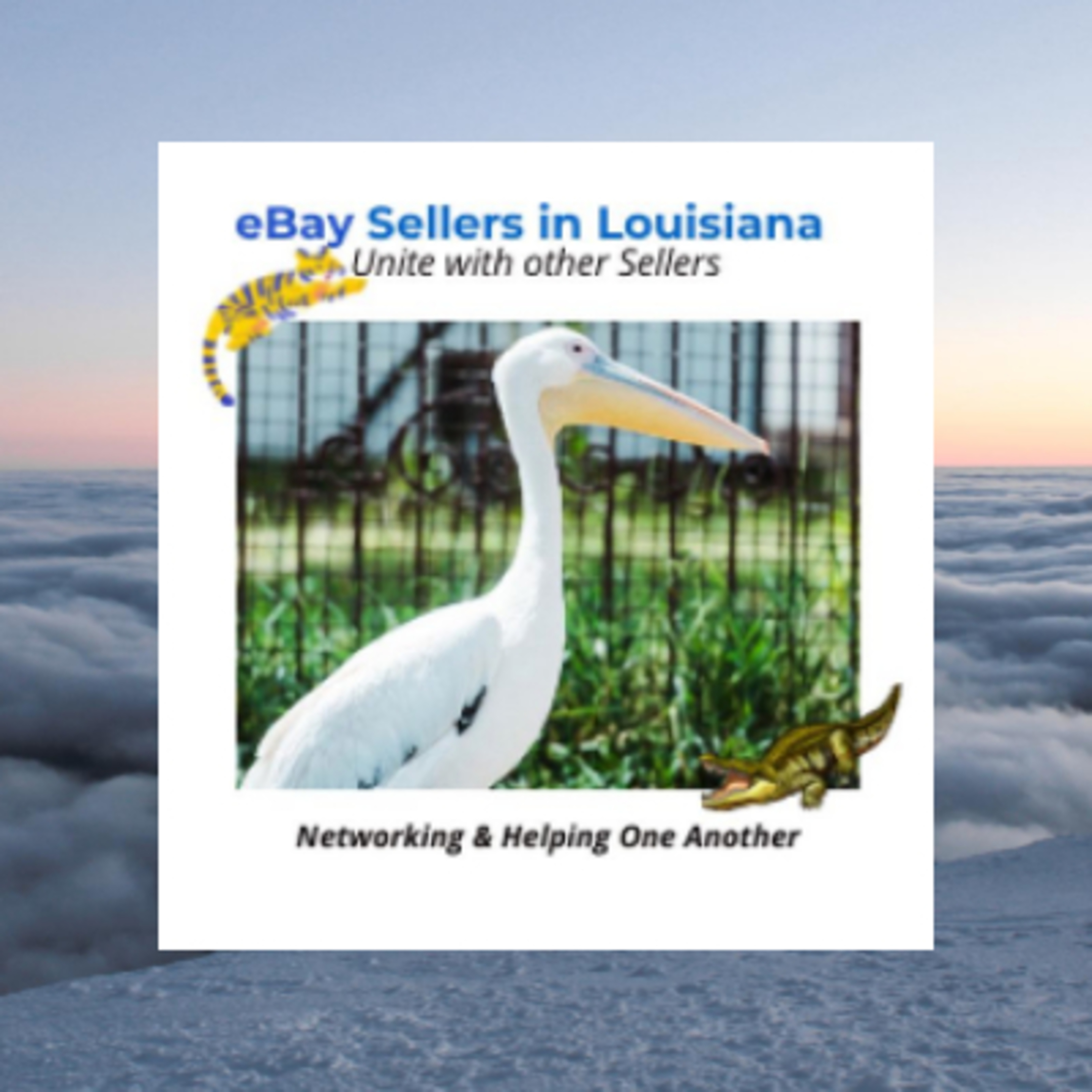 eBay eBay Sellers in Louisiana Seller Events